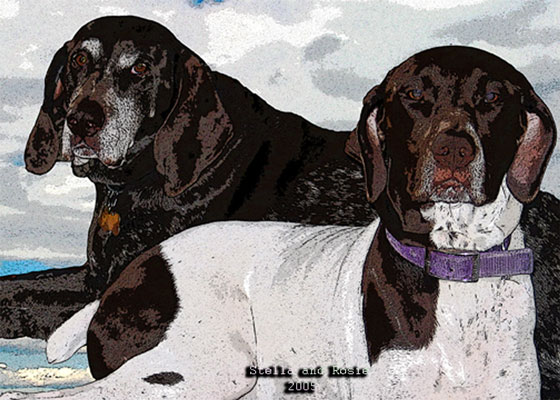 Click here for Stella and Rosie photos!
